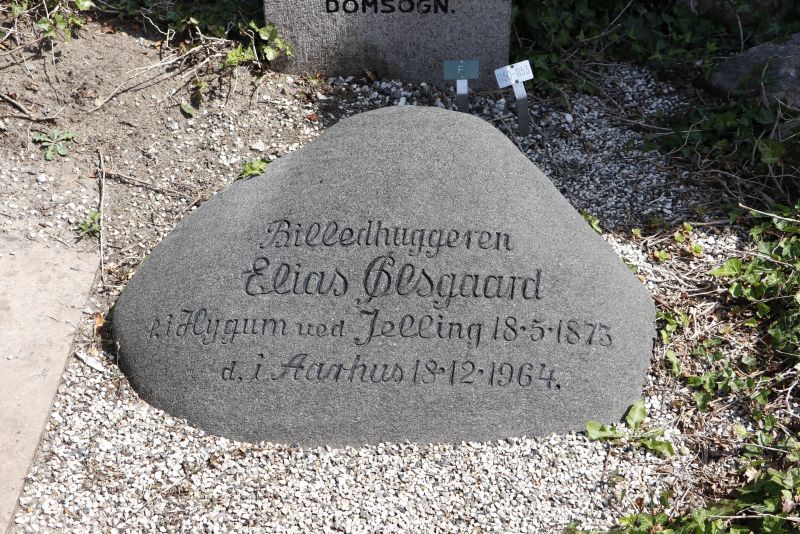 Elias Oelsgaard.JPG